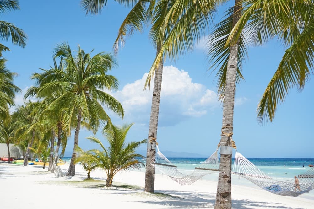 shutterstock 2443476783 bohol