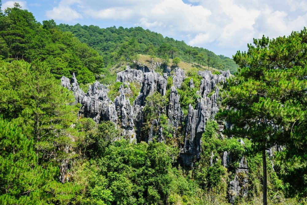 shutterstock 1278321778 echo valley