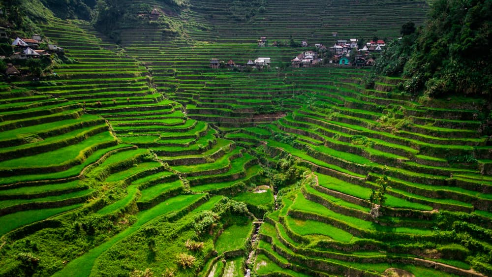 Ifugao Province