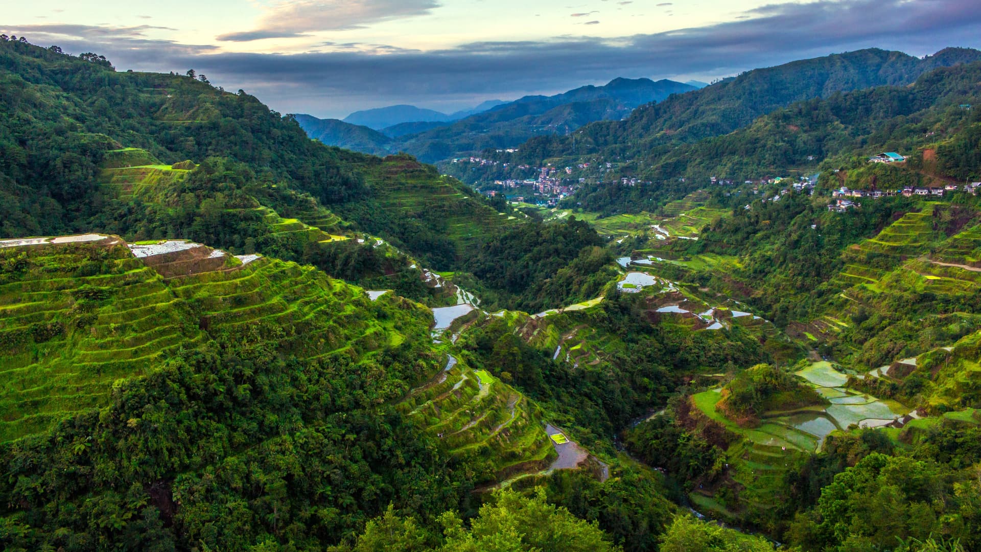 Cordillera Administrative Region