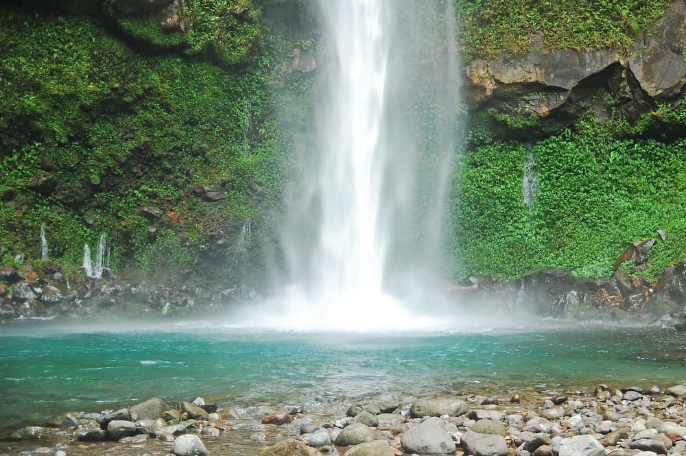 Ardent Hot Spring