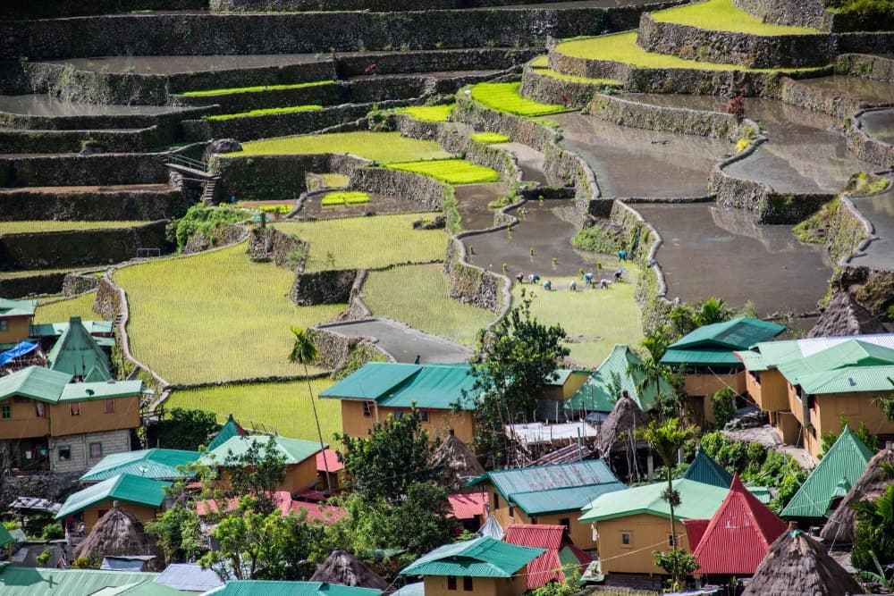 shutterstock 1395761723 batad