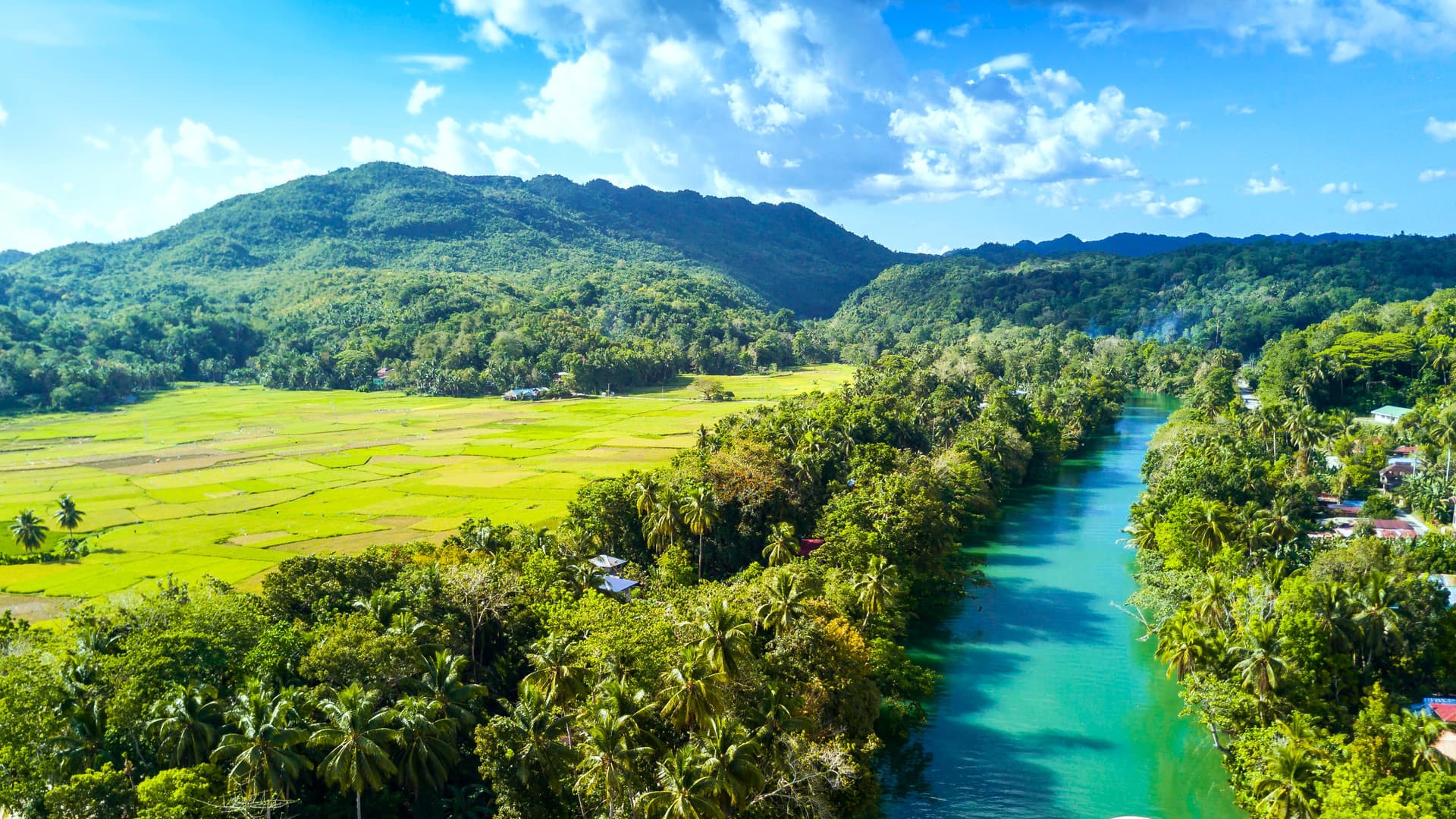 The Visayas